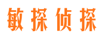 富川市调查公司